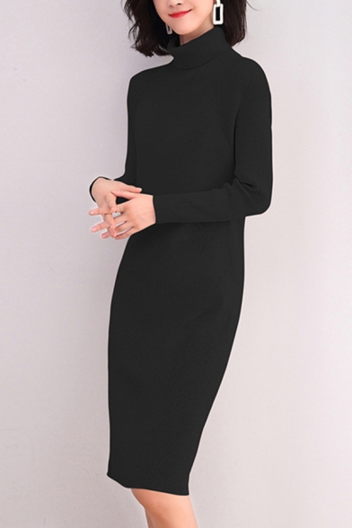 Elegant Women's Sweater Dress Rib Knit Solid Color Turtleneck Long Sleeves Regular Fitted Sweater Dress