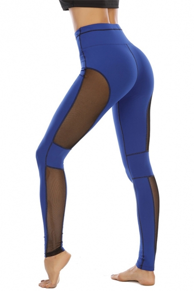Sport Blue Mid Rise See-Through Mesh Patched Contrast Stitch Ankle Fitted Leggings for Gym Women