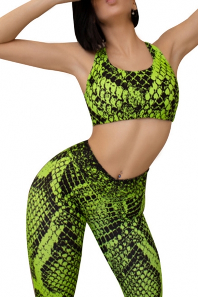 Womens Popular Set Snake Pattern Scoop Neck Racerback Fitted Crop Tank & Skinny Leggings Set