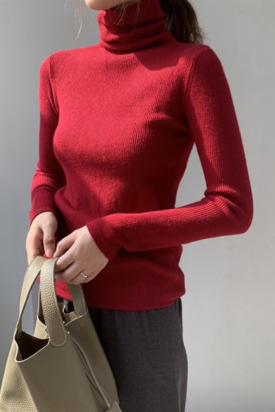 Fancy Womens T Shirt Knit Solid Color Long Sleeve Turtleneck Slim Fitted Tee Top