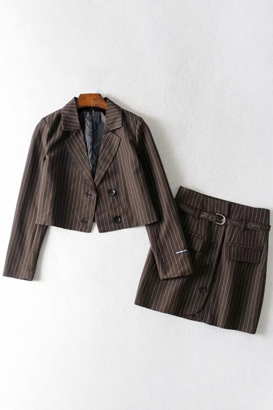 Formal Womens Set Stripe Printed Long Sleeve Notched Collar Button Up Regular Crop Blazer & Mini A-line Skirt Set
