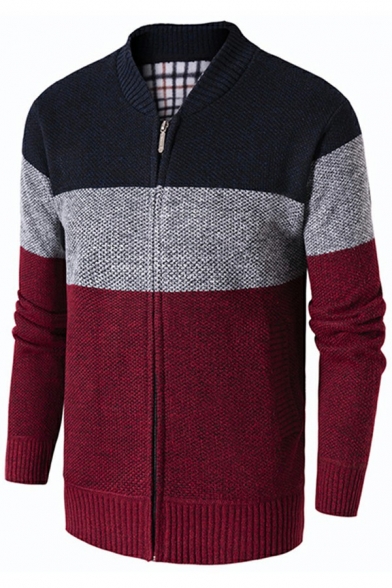Modern Guys Cardigan Color Block Stand Collar Long Sleeves Zip up Regular Fitted Cardigan