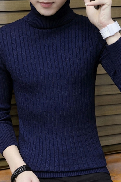Men's Basic Pullover Solid Color Long Sleeve Turtleneck Slim Fit Knitted Sweater Top