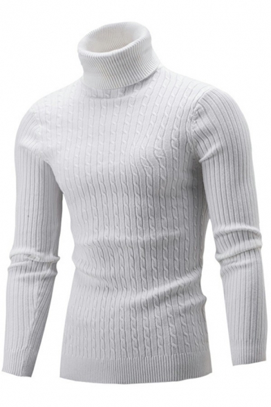 Men's Basic Pullover Solid Color Long Sleeve Turtleneck Slim Fit Knitted Sweater Top