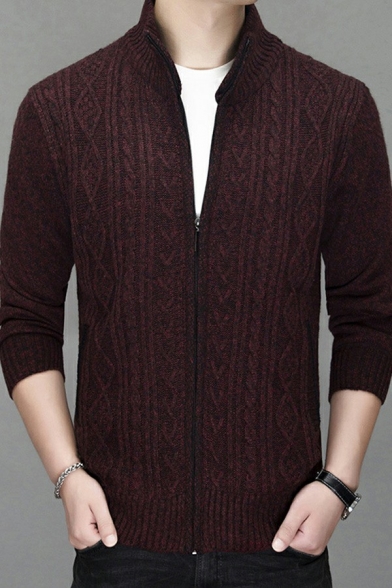 Guys Comfy Cardigan Plain Zipper Fly Stand Collar Fitted Long Sleeves Cardigan