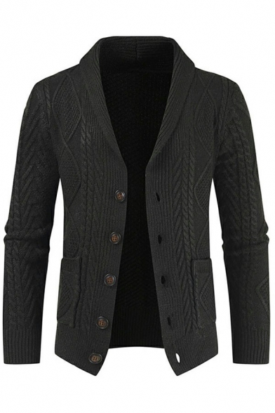 Leisure Mens Knit Cardigan Pure Color Long Sleeve Single Breasted Collared Fitted Cardigan