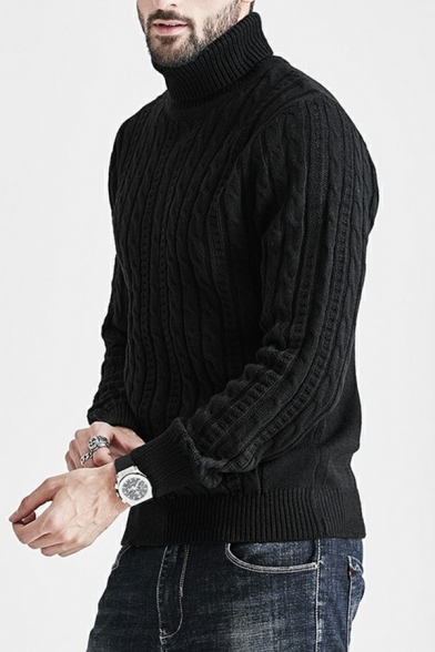 Basic Men's Sweater Solid Color Long Sleeve High Neck Regular Fitted Sweater