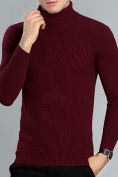Guys Comfortable Pullover Whole Colored High Neck Long Sleeve Slim Fit Pullover