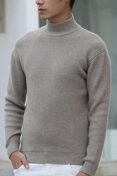 Stylish Guy's Sweater Solid Color Ribbed Hem Long Sleeves High Neck Regular Fit Pullover Sweater
