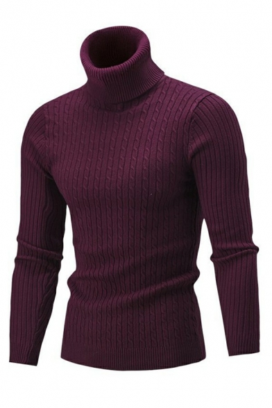 Men Modern Sweater Cable Knit Pattern High Collar Rib Cuffs Long Sleeves Slim Sweater