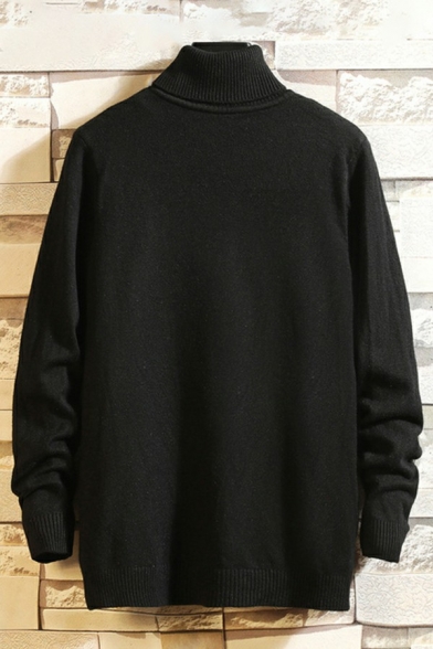 Basic Sweater Solid Color High Neck Long Sleeves Regular Fitted Pullover Sweater for Men