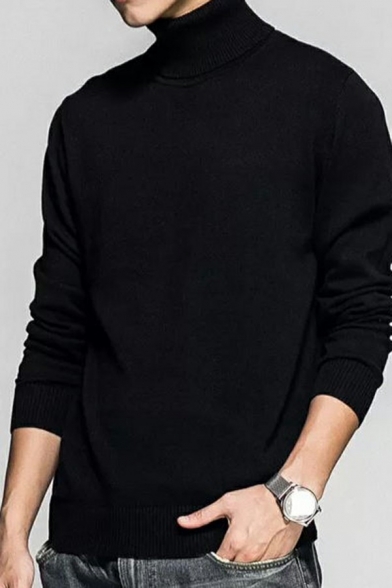 Popular Sweater Solid Color High Neck Regular Fit Long Sleeve Sweater for Men