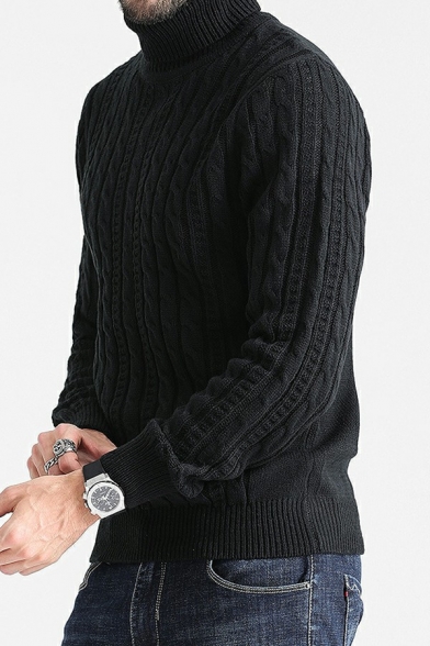 Basic Men's Sweater Solid Color Long Sleeve High Neck Regular Fitted Sweater