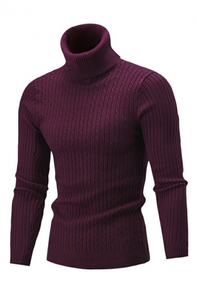 Guys Simple Pullover Pure Color High Neck Long Sleeves Slimming Pullover