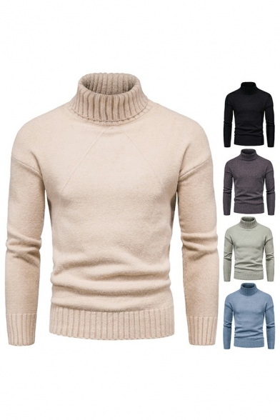 Men's Basic Sweater Solid Color High Neck Long Sleeve Slim Fit Sweater