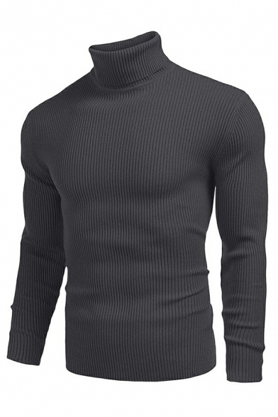 Cool Sweater Whole Colored Long Sleeves Slimming High Neck Sweater for Men