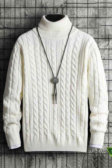 Popular Men's Sweater Pure Color High Neck Long-Sleeved Regular Fit Pullover Sweater