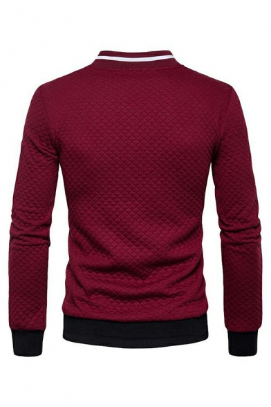 Stylish Mens Sweatshirt Color Block Long Sleeve Stand Collar Zip Closure Rib Cuffs Regular Fit Sweatshirt
