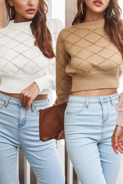 Stylish Crop Knit Top Crew Neck Plain Long Sleeve Slim Fit Crop Knit Top for Ladies