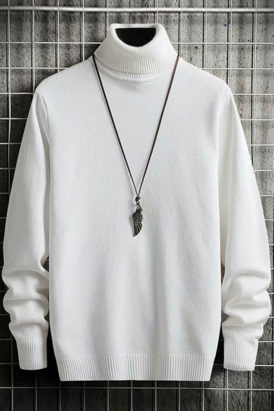 Guys Basic Sweater Pure Color Ribbed Trim Turtle Collar Fitted Pullover Sweater