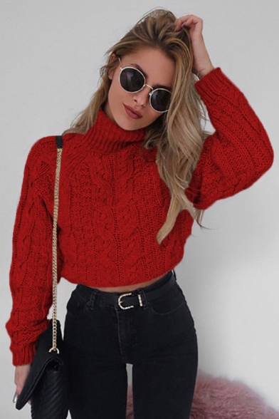 Casual Womens Sweater Plain Cable Knit High Neck Long Sleeve Oversized Cropped Sweater