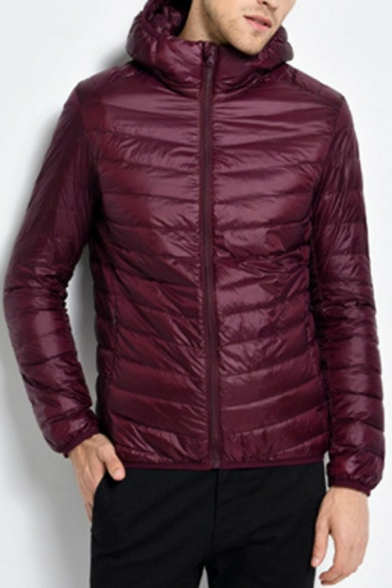 Mens Simple Down Jacket Solid Color Zip Placket Regular Fit Down Jacket with Hood