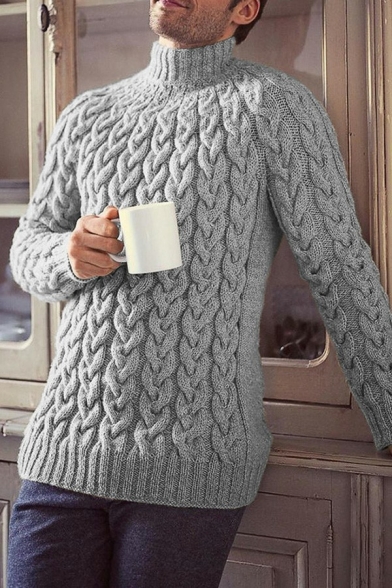 Cozy Sweater Whole Colored Cable Knit High Neck Regular Long Sleeves Sweater for Men