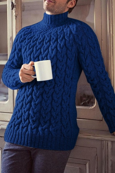 Cozy Sweater Whole Colored Cable Knit High Neck Regular Long Sleeves Sweater for Men