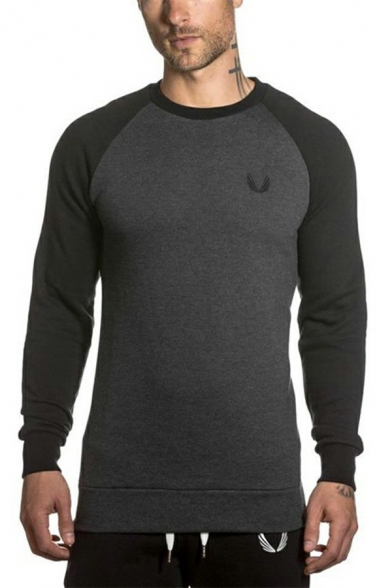Dashing Mens Sweatshirt Color Block Round Neck Raglan Sleeve Rib Cuffs Regular Fitted Sweatshirt