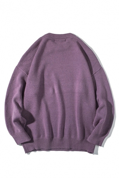 Modern Sweater Plain Round Neck Ribbed Trim Sweater for Men