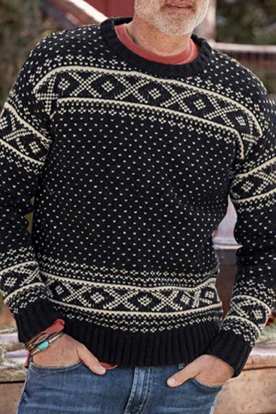 Fashionable Sweater Geometric Print Round Neck Ribbed Trim Sweater for Men