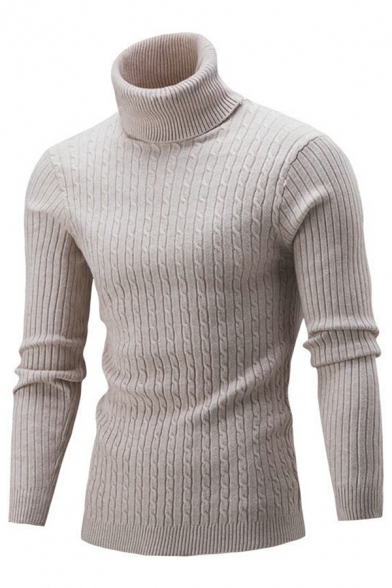 Stylish Sweater Plain High Collar Ribbed Trim Sweater for Men