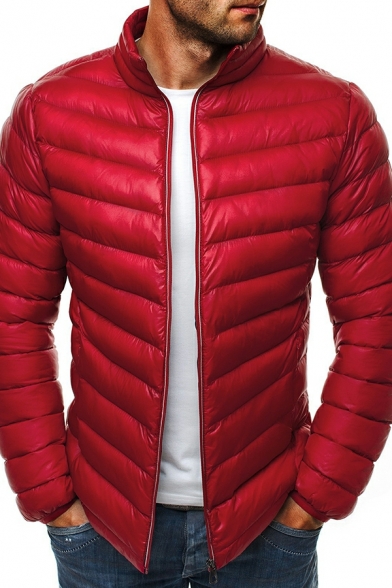 Sporty Down Coat Solid Color Stand Collar Full-Zip Down Coat for Men