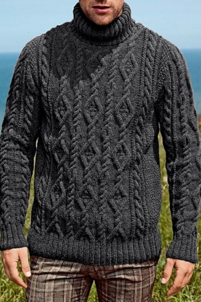 Stylish Sweater Cable Knit Pattern High Collar Ribbed Trim Sweater for Men