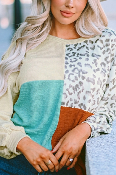 Creative Mens Sweatshirt Leopard Printed Long Sleeve Crew Neck Color Block Sweatshirt