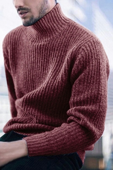 Street Style Sweater Plain High Collar Ribbed Trim Sweater for Men
