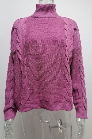 Fashionable Sweater Pure Color Long Sleeve High Collar Regular Fit Sweater for Girls