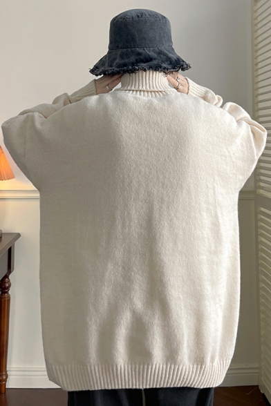 Cozy Sweater Whole Colored Rib Hem Turtleneck Oversized Long Sleeves Sweater for Men
