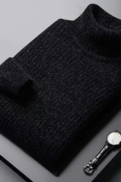 Modern Sweater Solid Color Long Sleeves High Neck Regular Pullover Sweater for Men