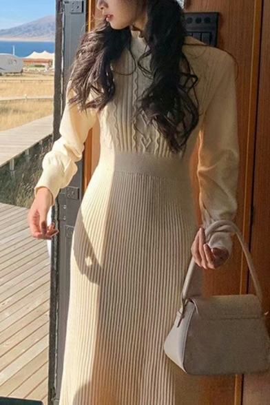 Vintage Dress Whole Colored Long Sleeves Mock Neck Midi Knit Dress for Women