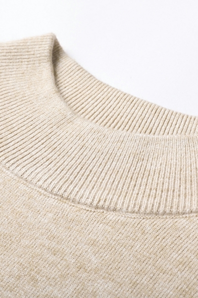 Leisure Men's Sweater Pure Color Long Sleeve Mock Neck Regular Pullover Ribbed Hem Sweater