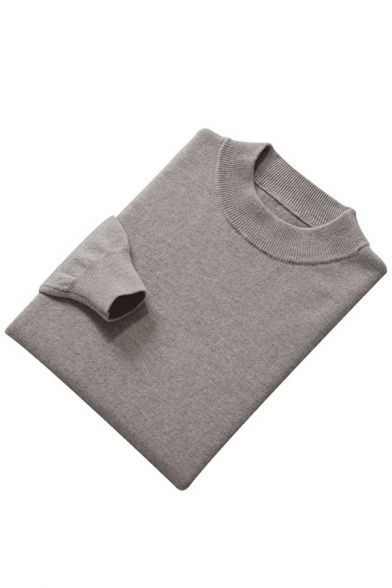 Stylish Guy's Sweater Solid Ribbed Hem Crew Collar Long Sleeves Regular Pullover Sweater