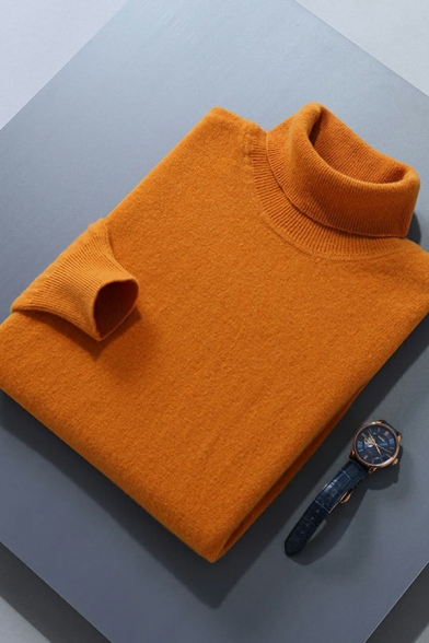 Casual Men's Sweater Solid Color Long Sleeve High Collar Regular Fit Pullover Sweater