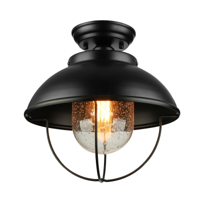Close To Ceiling Light with Clear Glass in Black Finish