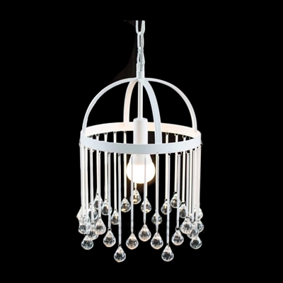 Single Light Elegant Design Metal Frame Lovely Cage Pendant Light Hanging Crystal Balls