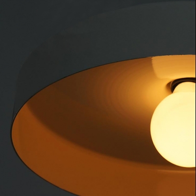 Colorful and Beautiful Rounded Disc Designer Pendant Lighting in 13.7”Wide