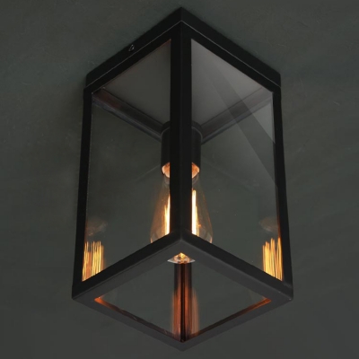 Metal/Clear Glass Cuboid Shade Single Light Indoor/Outdoor Flushmount LED Ceiling Light