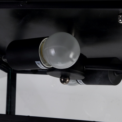 Black LED Flush Mount Ceiling Light 2 Light with Glass Shade