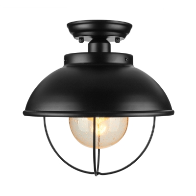 Close To Ceiling Light with Clear Glass in Black Finish