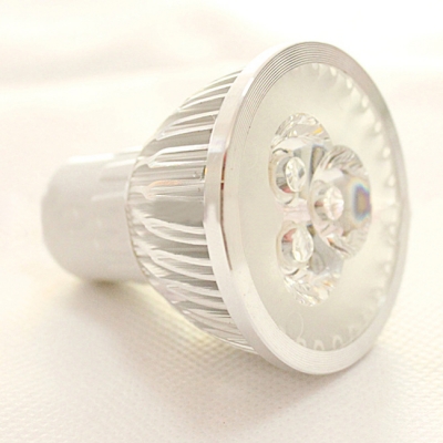 par 10 bulb